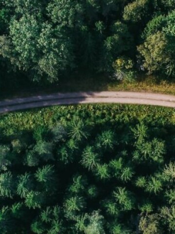 Trazando el éxito con David Pardo: la historia detrás del árbol de habilidades de SNGULAR