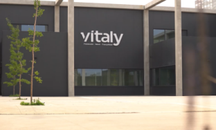 RPA Automation Boosts Vítaly's Profitability by 200%Vitaly