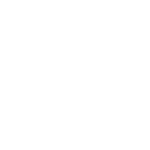 Sngular Atlassian Team, Atlassian Subject Matter Expert (SME)