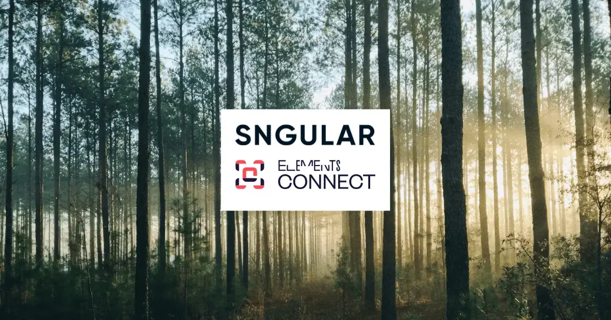 Sngular-Elements-Connect-21.webp